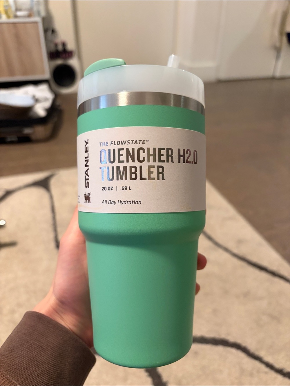 Brand New Stanley Mint Green Quencher H2.0 Tumbler 20Oz